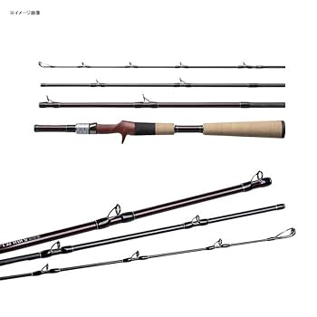 Amazon | フィッシュマン BC4 5.10H | FISHMAN | バスロッド